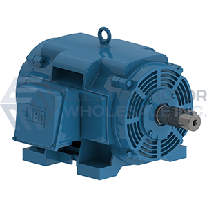 3PH GP ODP FOOTED CAST IRON 364-5TS.jpg